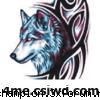 Avatare useri - florian_sonny - .